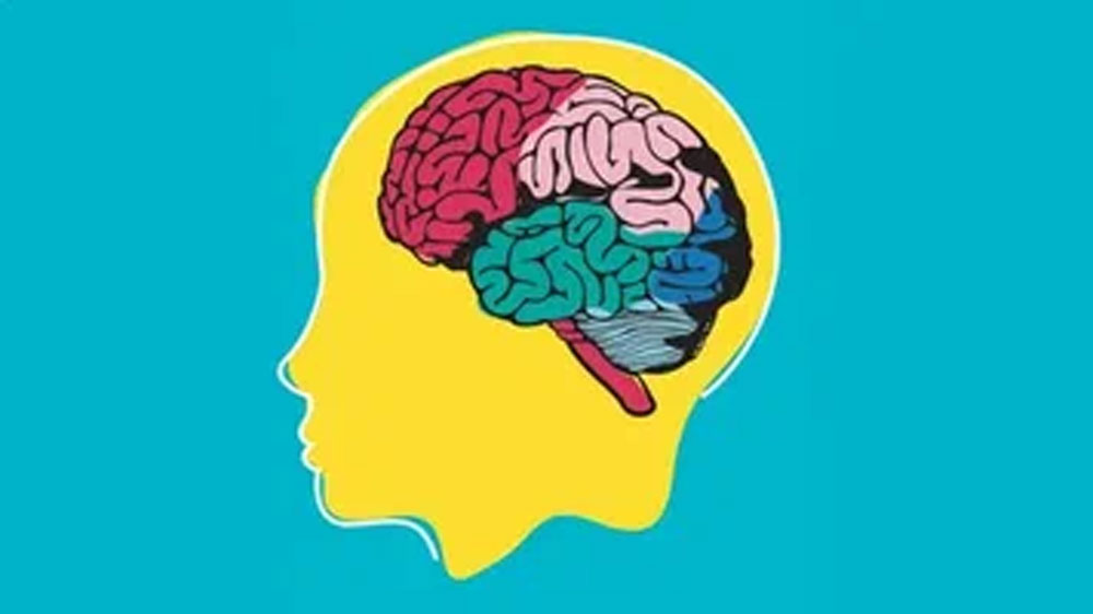 موفقیت، مغز، تصمیم گیری